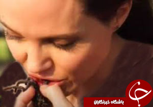 رتیل خوردن ستاره هالیوود+ تصاویر