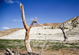خطر خشکیدن خلیج گرگان و کمین ریزگردها برای حمله به شمال ایران