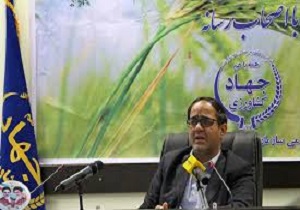برخورد تعزیرات حکومتی با گران فروشی گوشت قرمز / توقف آنفولانزا مرغی در  استان قم