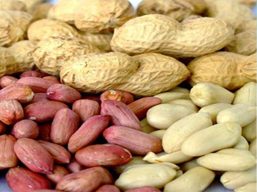 قیمت سکه کاهش یافت / سقزهای ایرانی در راه کشورهای عربی