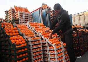 میوه عیدانه در استان ذخیره سازی شد