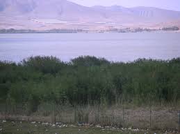معرفی اردوگاه قوری گل