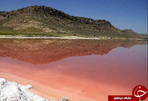 نگاهی گذرا به مهمترین رویداد های این هفته فارس