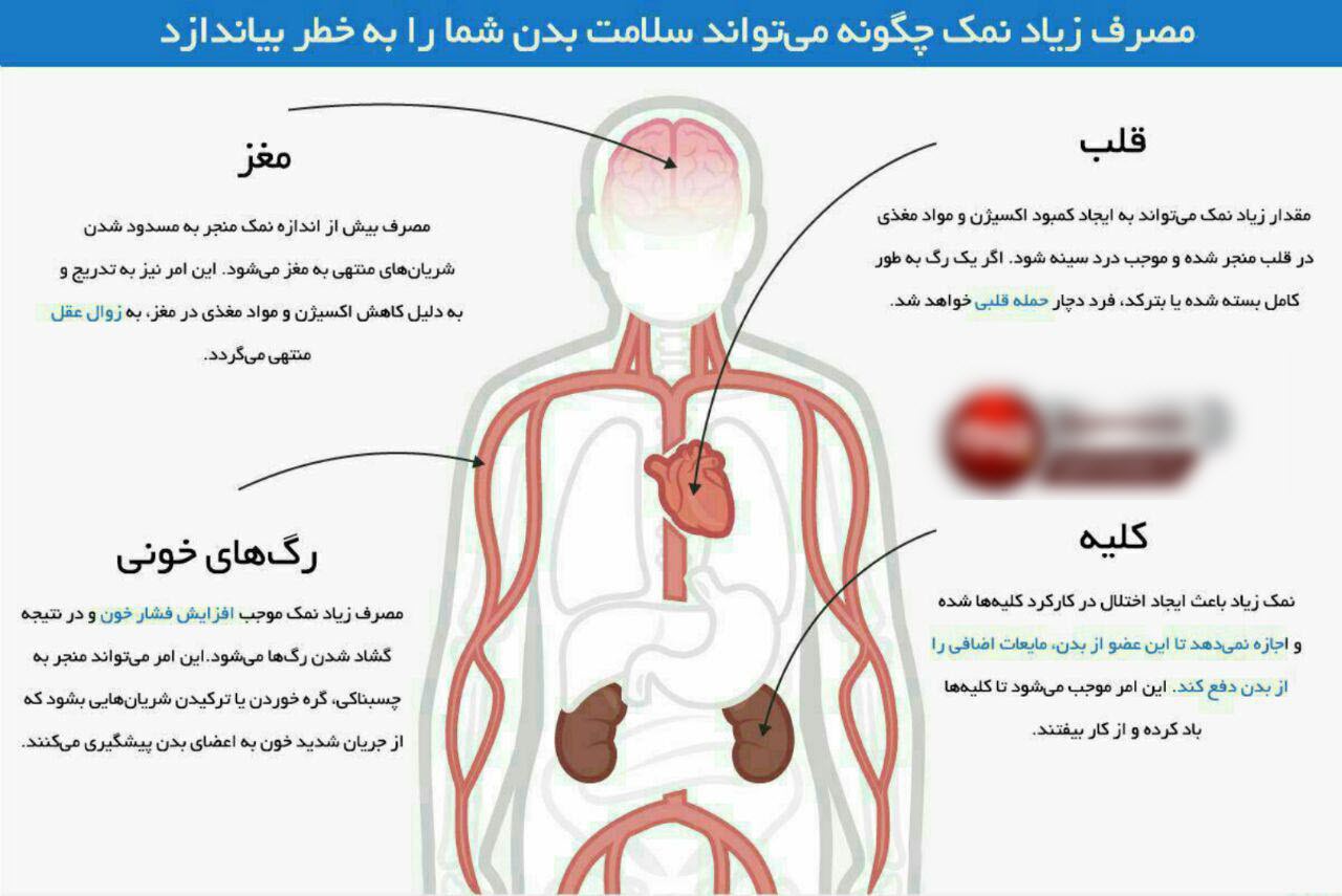 مصرف نمک زیاد کدام اعضای حیاتی بدن را تهدید می کند