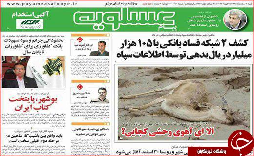 از پروژه های بی فرهنگ تا نداشتن کنسرت مختلط