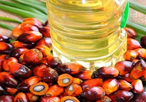 مضرات خاص روغن ها