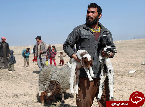 از برپایی مجسمه اسکار تا شینزو آبه در یک کنسرت هنری