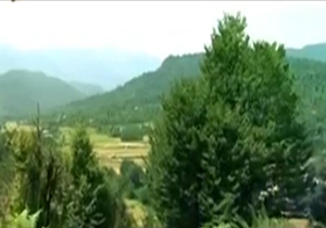 طبیعت سرسبز گیلان میزبان گردشگران + فیلم