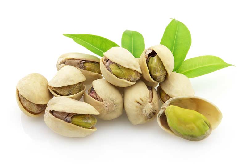 رشد ناچیز صادرات پسته ایران به اروپا پس از برجام