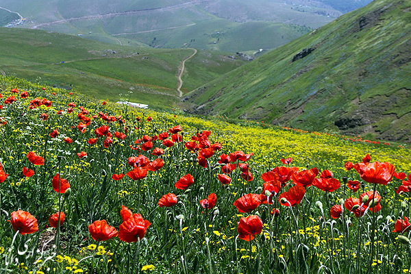 میزبانی نوروزی اردبیل با چشمه‌های بهشتی
