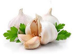 چگونه بوی بد سیر را از بین ببریم؟!