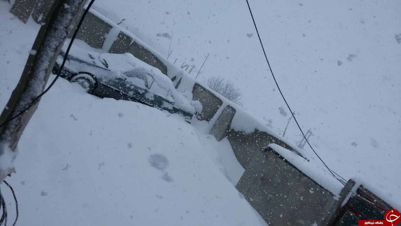 بارش برف در روستای سیالیا کاکاوند + تصاویر