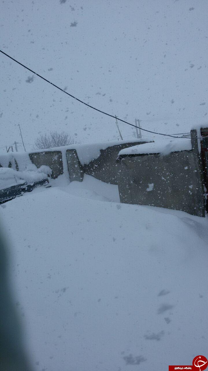 بارش برف در روستای سیالیا کاکاوند + تصاویر