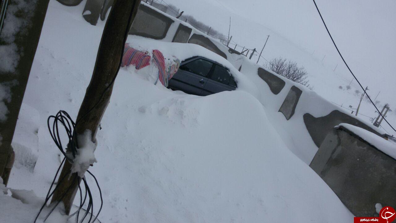 بارش برف در روستای سیالیا کاکاوند + تصاویر