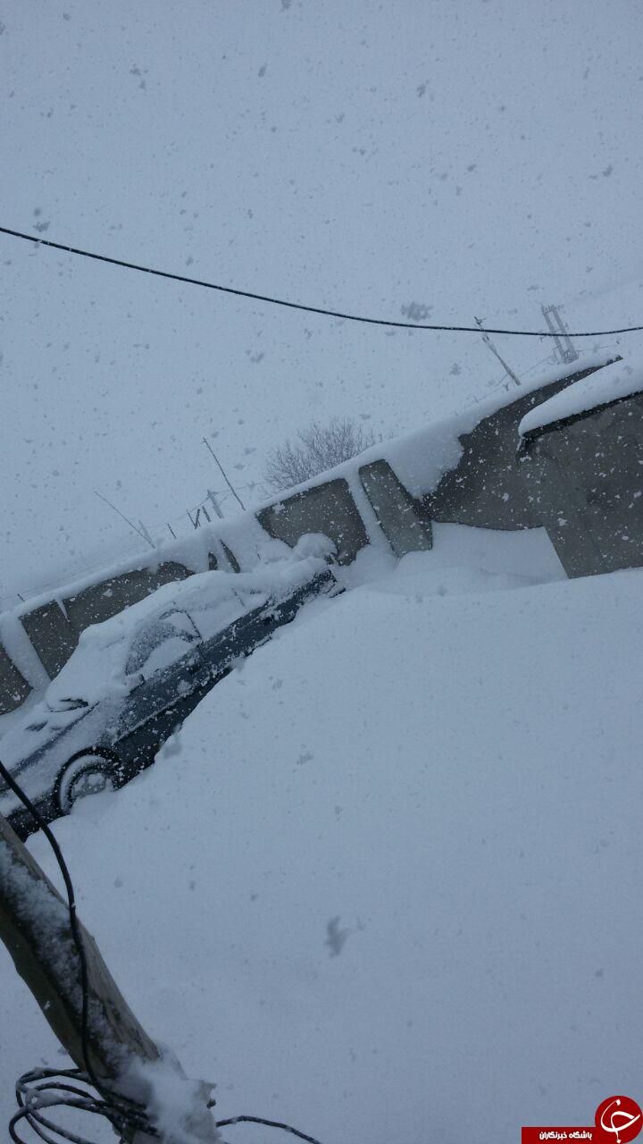 بارش برف در روستای سیالیا کاکاوند + تصاویر