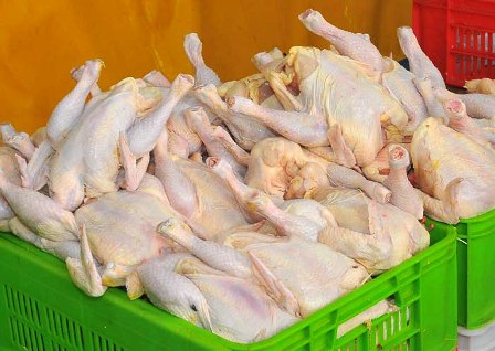 پيش بينی توليد بيش از 669 تن گوشت مرغ در دو ماهه اول سال آینده