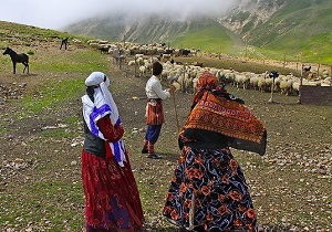 پرداخت بیش از یک میلیارد تومان تسهیلات به عشایر استان اردبیل