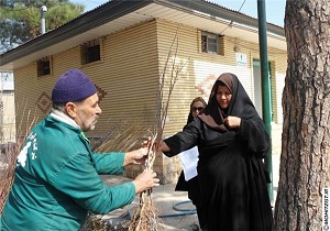 توزیع بیش از ۴۰ هزار نهال مثمر در شهرستان گرمی