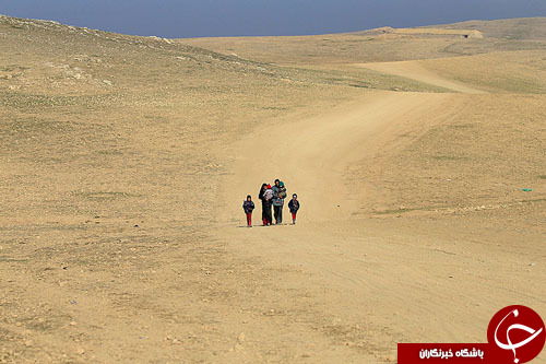 از بازرسی فرودگاه کوالالامپور تا گذرنامه&zwnj;های جدید آلمان