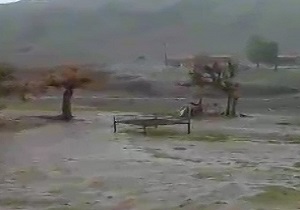 بارش زیبای باران در روستای هفت بادام  + فیلم