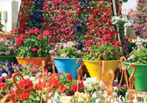 نمایشگاه گل و گیاه ،صنایع دستی و سوغات در سمنان