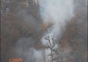 وقوع آتش سوزی درجنگل های مرزی جمهوری آذربایجان