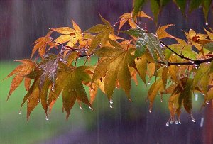 آخر هفته باران به خوزستان سفر می کند