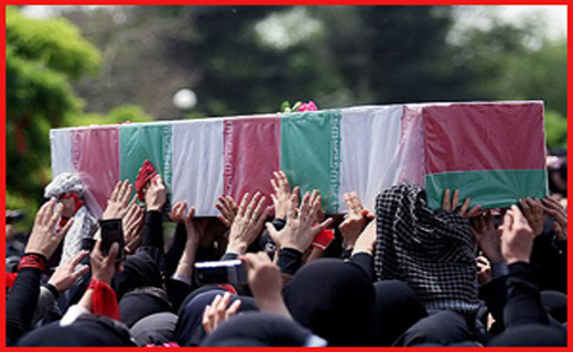 تهدید تکراری آلودگی هوا تا آتشی که جنگل&zwnj;های مرزی را سوزاند