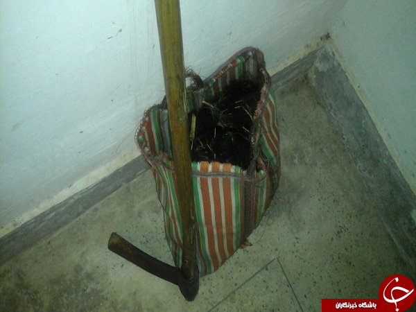 خاتمه بحث زناشویی با بُریدن سَرهمسر