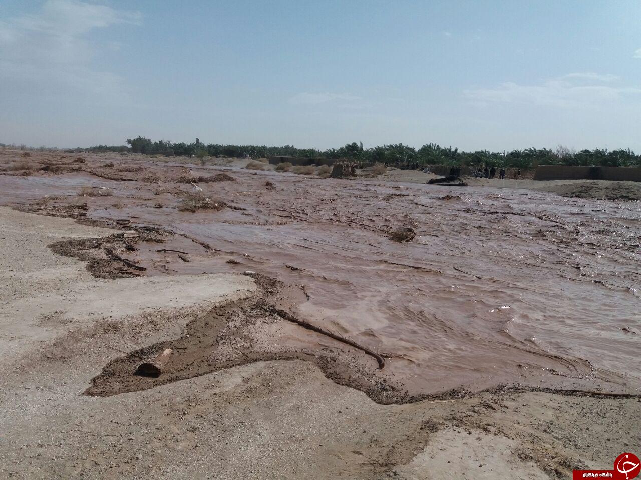 سیل گسترده در &laquo;نگین کویر&raquo; + تصاویر