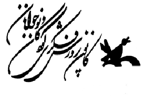 موفقیت عضو نوجوان کانون فارس در جشنواره خوارزمی
