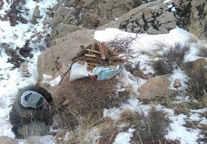 جمع آوری 150 تله زنده گیری کبک در مشگین شهر