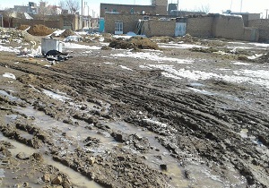 پربازدید