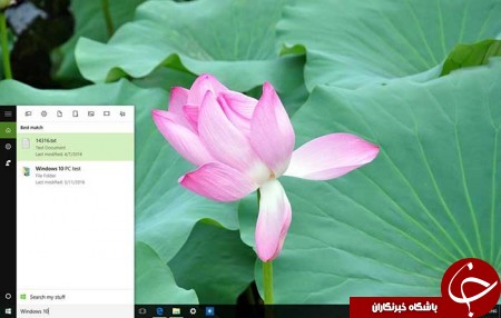 عدم نمایش نتایج وب دریافت شده در هنگام جستجو + آموزش