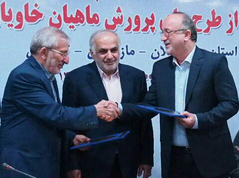 پرورش مروارید سیاه در شمال+ تصاویر
