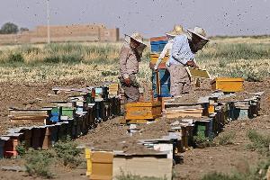بیش از180 هزار نفر ساعت آموزش در روستاهای لالی