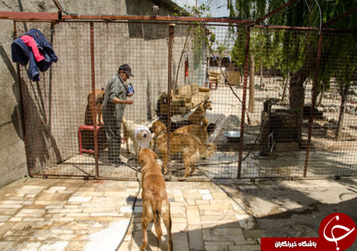 اینجا &laquo;سگ&zwnj;کشی&raquo; ممنوع است