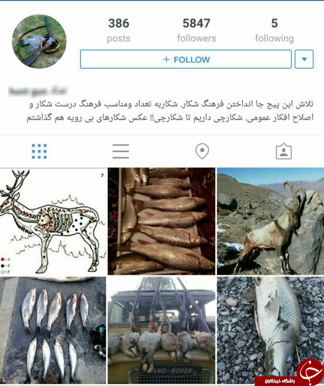 شکار حیوانات