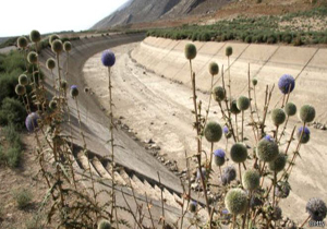آثار تاریخی 3 استان در معرض نابودی است