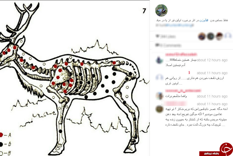 صفحه آموزش شکار در اینستاگرام! +عکس