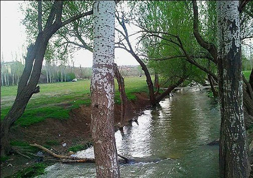 گلدشت دشتی بی نظیر دربروجرد