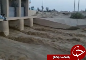 شهروندخبرنگار:جاریکه جان دوباره یافت + فیلم