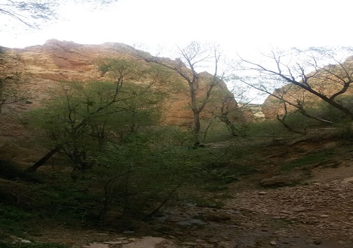 طبیعت دیدنی منطقه آوج