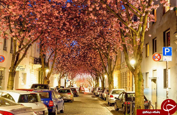 برترین عکس های اینستگرام+12 عکس