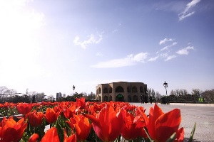 کاشت 2 میلیون گل لاله در شهر تبریز