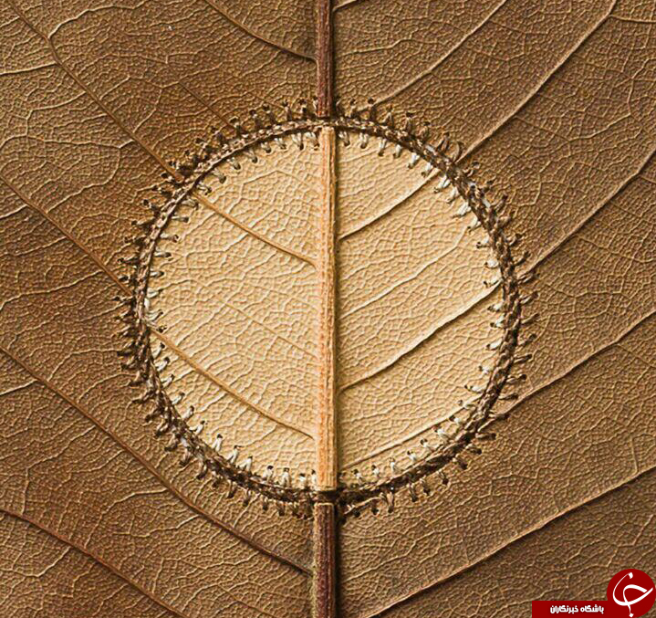 کاردستی های حیرت انگیز ودیدنی از  برگ درختان+تصاویر