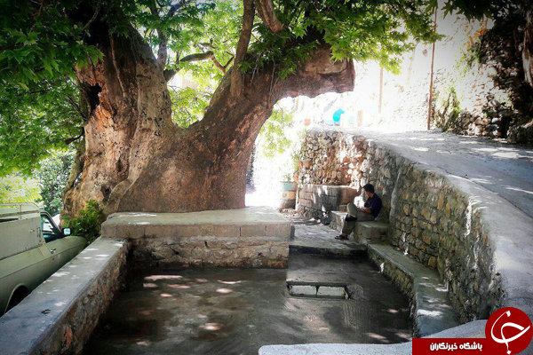 میراث ۴ هزار ساله ابرکوه در بستر مرگ است!