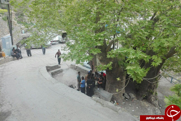میراث ۴ هزار ساله ابرکوه در بستر مرگ است!