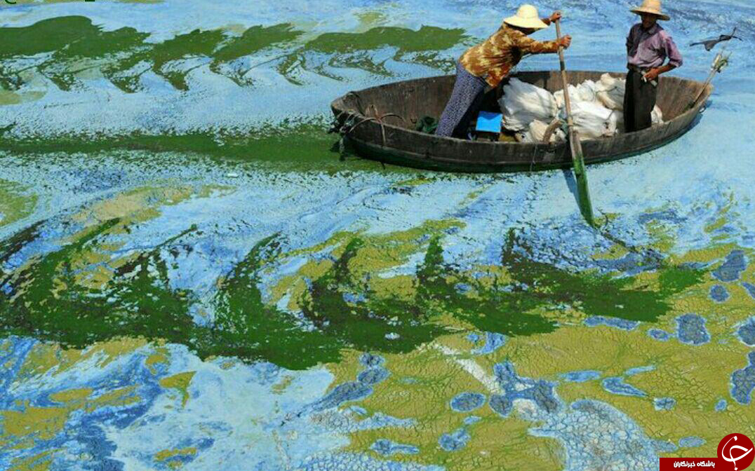 عکس هایی که شباهت عجیبی به نقاشی دارند