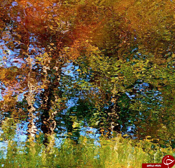 عکس هایی که شباهت عجیبی به نقاشی دارند